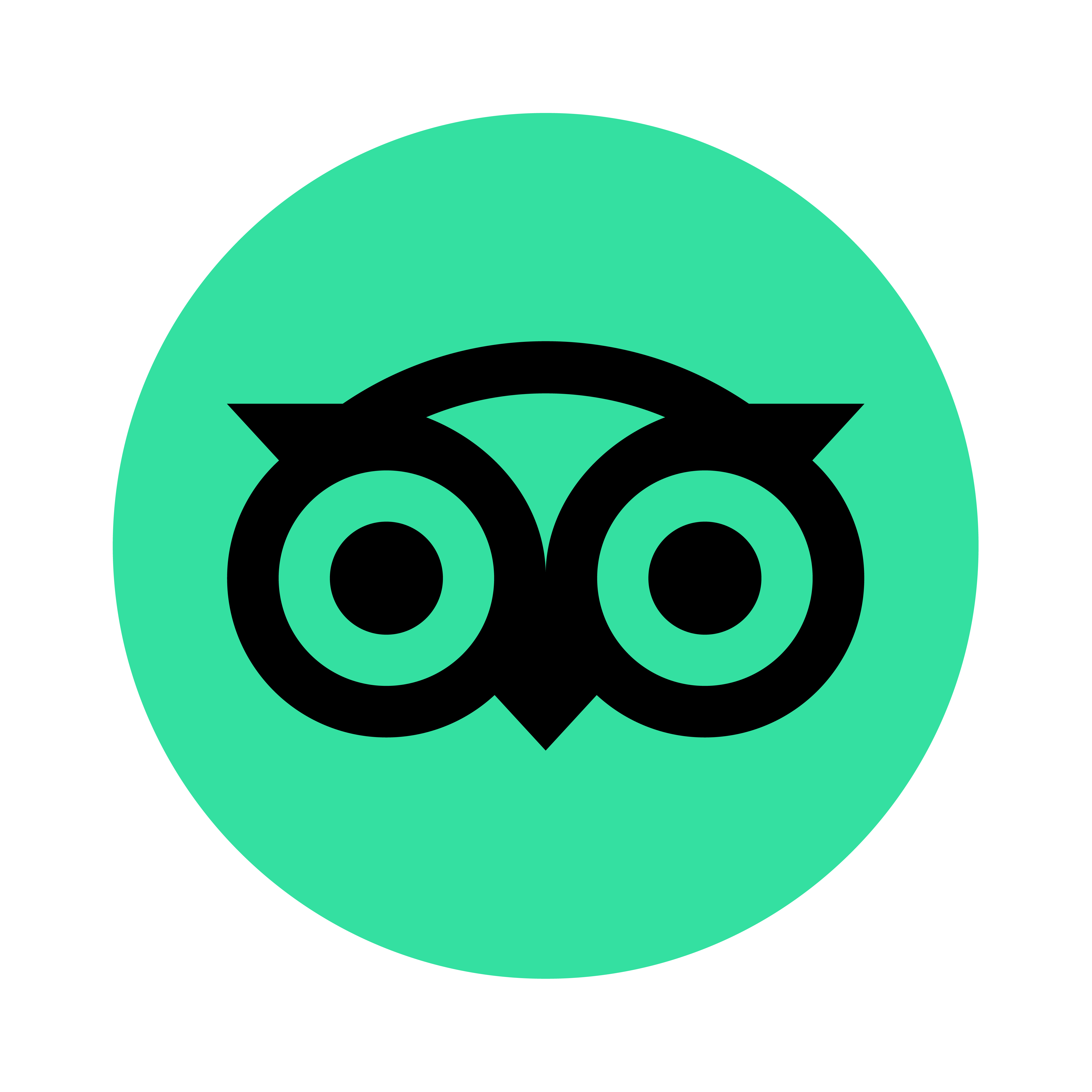 TripAdvisor